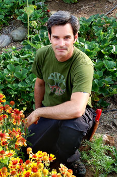 David Shamanik